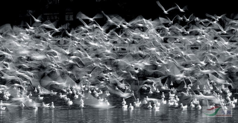 �صȽ���1����������޺ۡ�ŸӰ������������