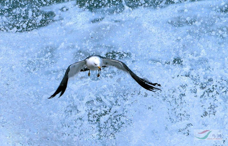 ����ׯׯ�������ˡ�