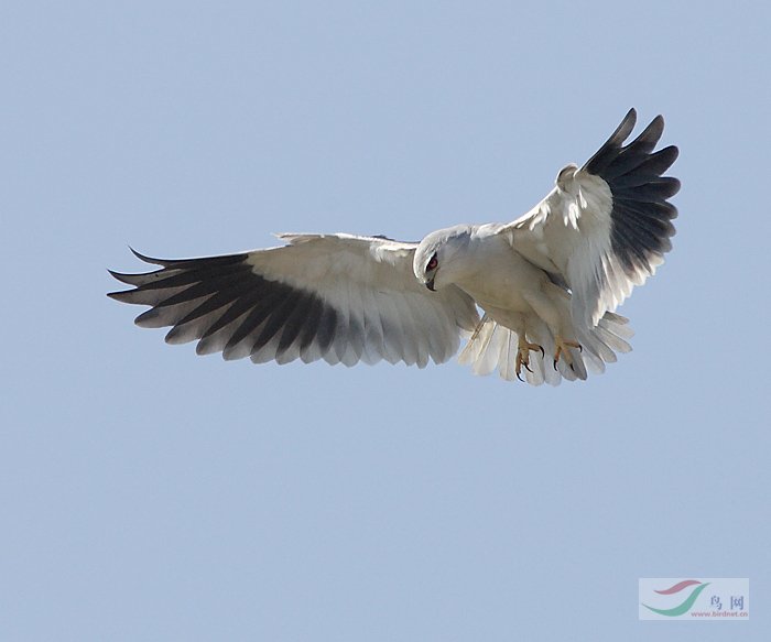 ������������ĺڳ�𰡷