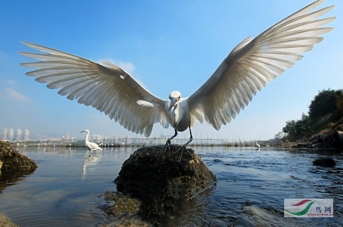 �ͽ����֡����ء�