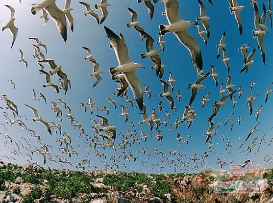 ���콣��ȺŸ���衷