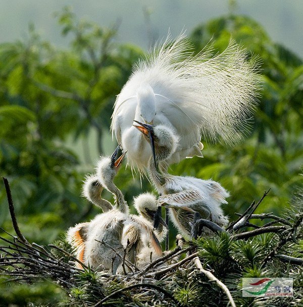 �� �С�����------������