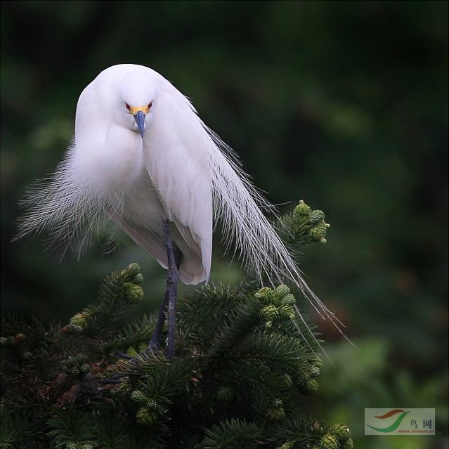 why7000�����ء�