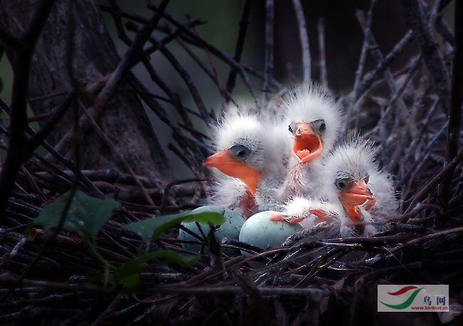 ���ˡ����������ܾ��ʡ�