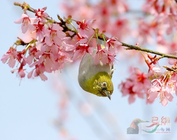 ���¡����ӵ��ҡ�