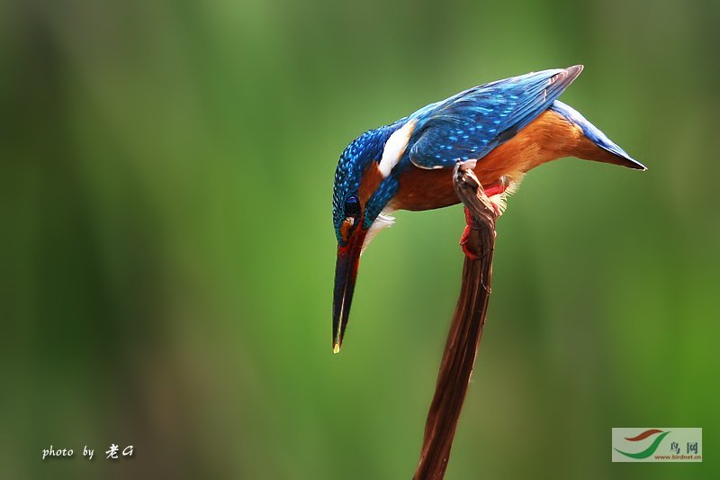 Re:��2007����֮�ġ�Ұ��������Ӱ������ί��Ʒչʾ