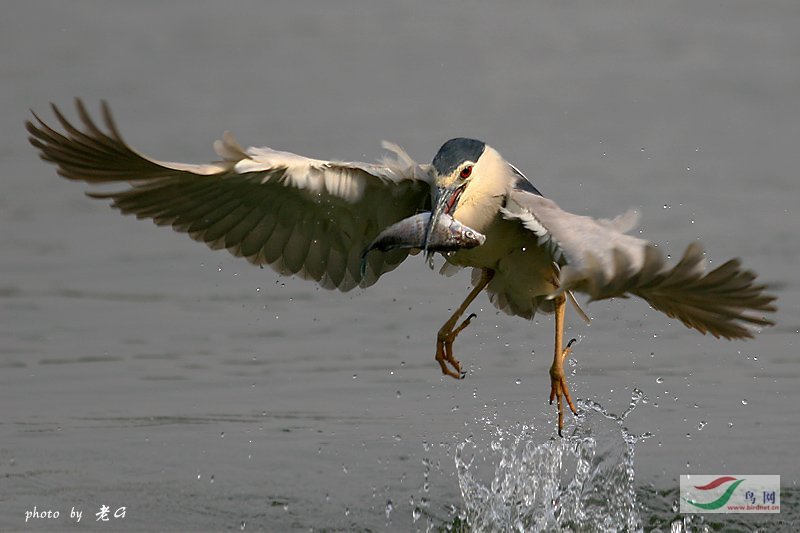 Re:��2007����֮�ġ�Ұ��������Ӱ������ί��Ʒչʾ