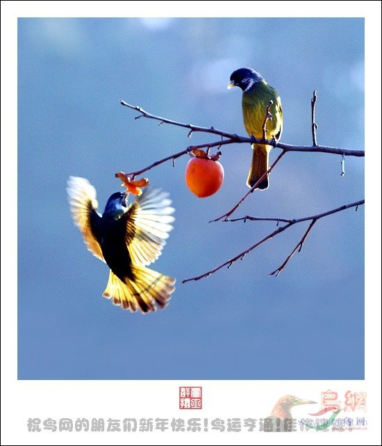 Re:��2007����֮�ġ�Ұ��������Ӱ������ί��Ʒչʾ