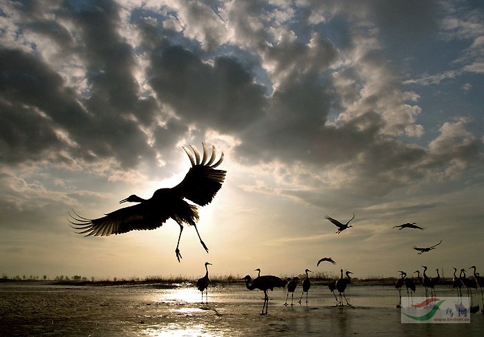 Re:��2007����֮�ġ�Ұ��������Ӱ������ί��Ʒչʾ