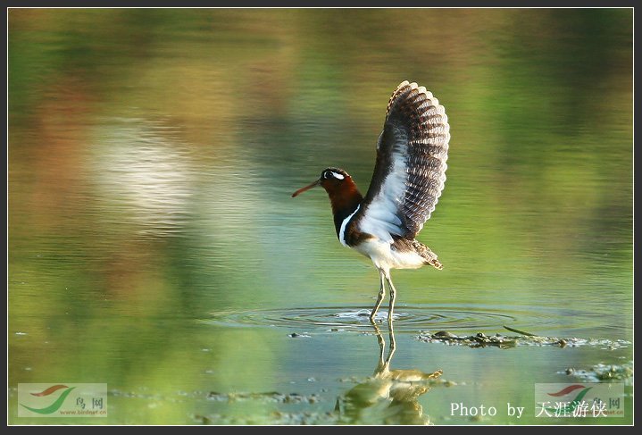 Re:��2007����֮�ġ�Ұ��������Ӱ������ί��Ʒչʾ