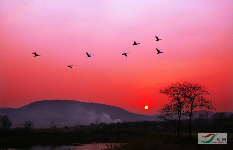 Re:��2007����֮�ġ�Ұ��������Ӱ������ί��Ʒչʾ