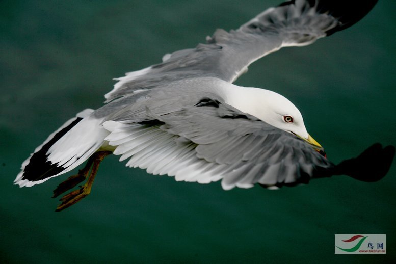 Re:��2007����֮�ġ�Ұ��������Ӱ������ί��Ʒչʾ