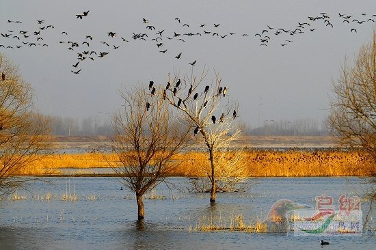 Re:��2007����֮�ġ�Ұ��������Ӱ������ί��Ʒչʾ