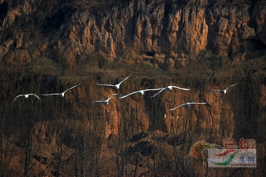 Re:��2007����֮�ġ�Ұ��������Ӱ������ί��Ʒչʾ