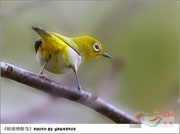 Re:��2007����֮�ġ�Ұ��������Ӱ������ί��Ʒչʾ