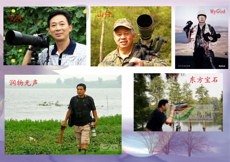 Re:[����]������Ƭ�Ա�.......��ҳ尡�����ˮŶ