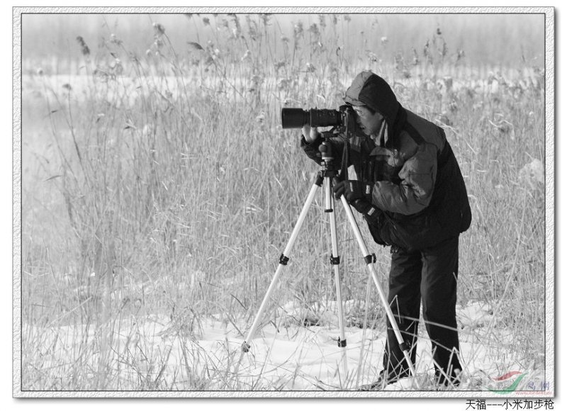 Re:[����]������Ƭ�Ա�.......��ҳ尡�����ˮŶ