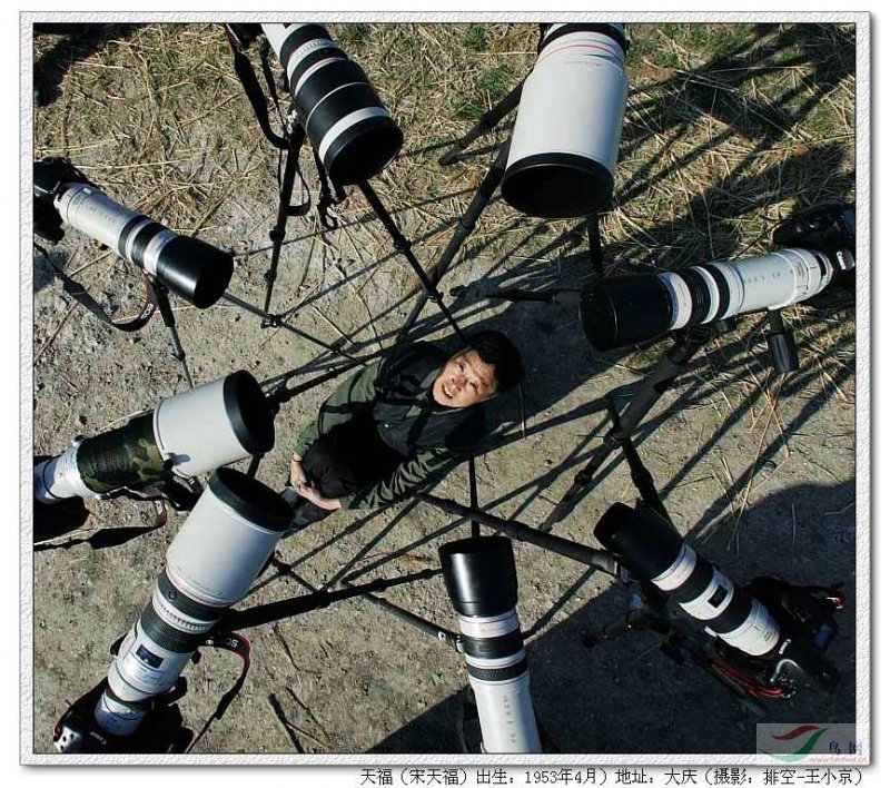 Re:[����]������Ƭ�Ա�.......��ҳ尡�����ˮŶ