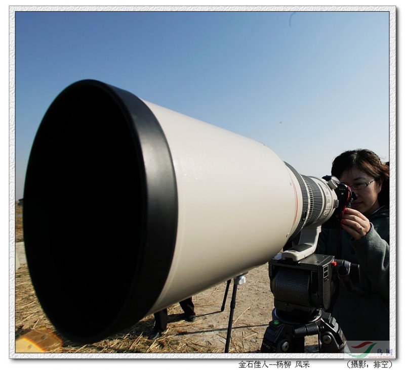 Re:[����]������Ƭ�Ա�.......��ҳ尡�����ˮŶ