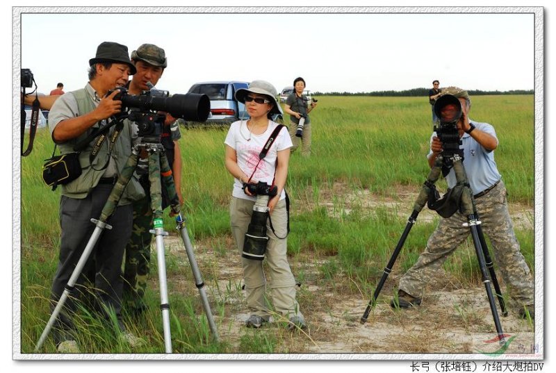 Re:[����]������Ƭ�Ա�.......��ҳ尡�����ˮŶ