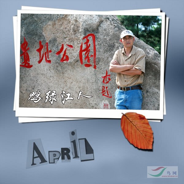 Re:[����]������Ƭ�Ա�.......��ҳ尡�����ˮŶ