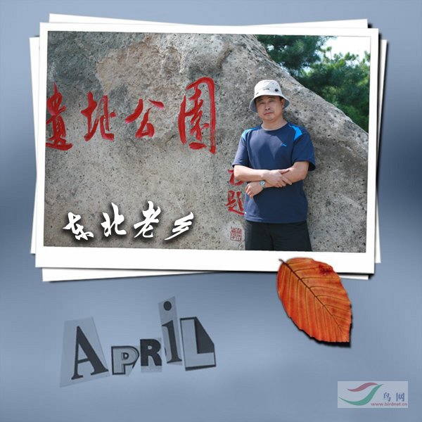 Re:[����]������Ƭ�Ա�.......��ҳ尡�����ˮŶ