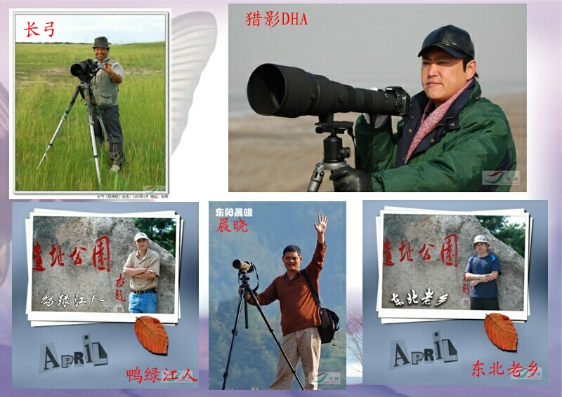 Re:[����]������Ƭ�Ա�.......��ҳ尡�����ˮŶ