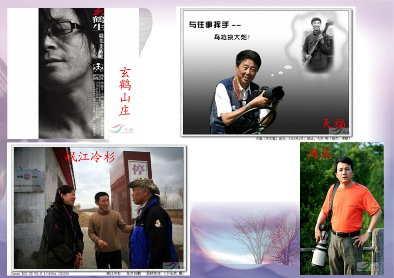 Re:[����]������Ƭ�Ա�.......��ҳ尡�����ˮŶ