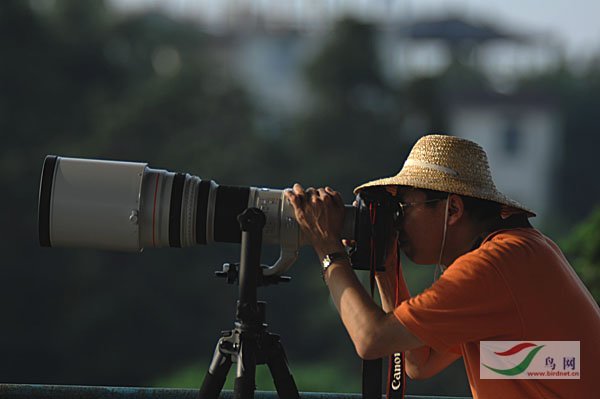 Re:[����]������Ƭ�Ա�.......��ҳ尡�����ˮŶ