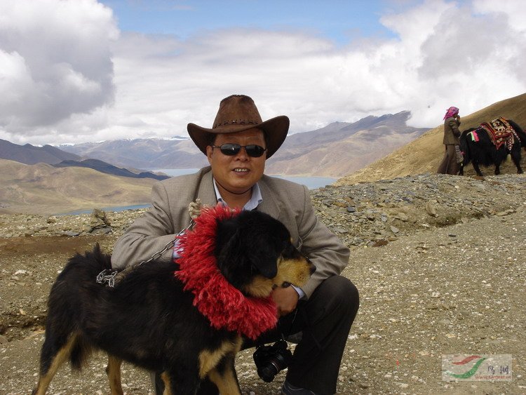 Re:[����]������Ƭ�Ա�.......��ҳ尡�����ˮŶ