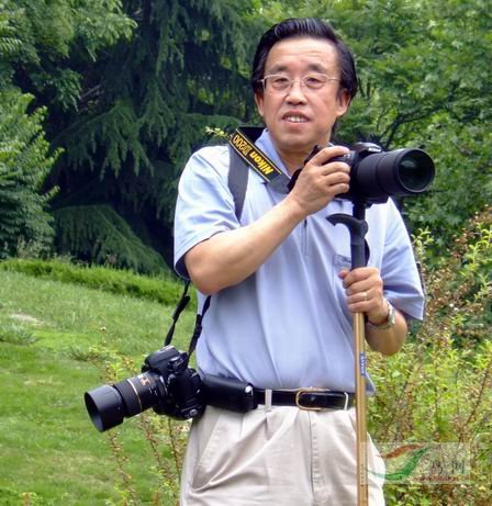 Re:[����]������Ƭ�Ա�.......��ҳ尡�����ˮŶ