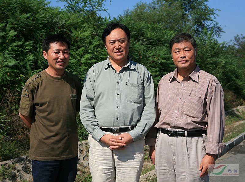 Re:[����]������Ƭ�Ա�.......��ҳ尡�����ˮŶ