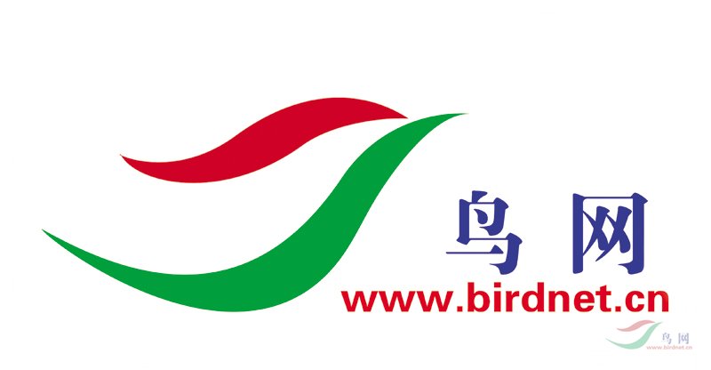 �����ھŸ�����վ�������ƺӿ�����վ�������