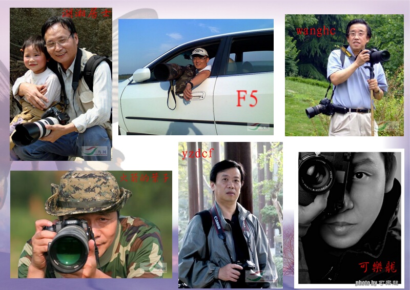 Re:[����]������Ƭ�Ա�.......��ҳ尡�����ˮŶ