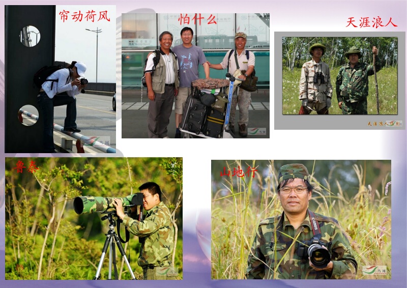 Re:[����]������Ƭ�Ա�.......��ҳ尡�����ˮŶ