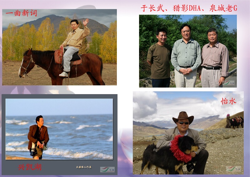 Re:[����]������Ƭ�Ա�.......��ҳ尡�����ˮŶ