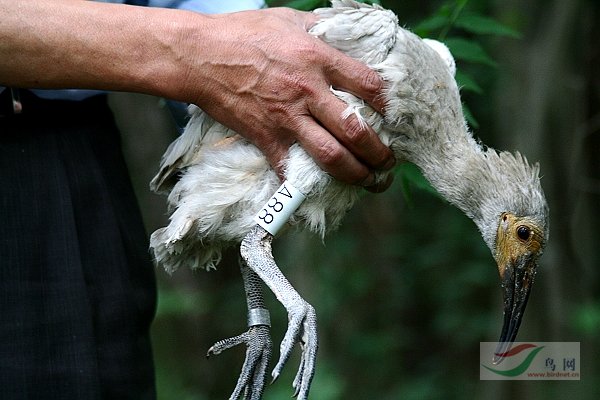 Re:[����]������Ƭ�Ա�.......��ҳ尡�����ˮŶ