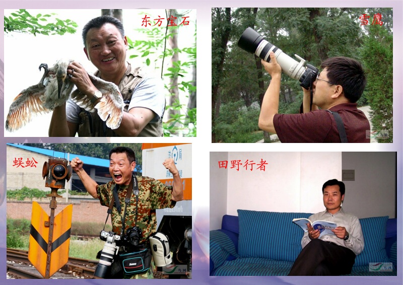 Re:[����]������Ƭ�Ա�.......��ҳ尡�����ˮŶ