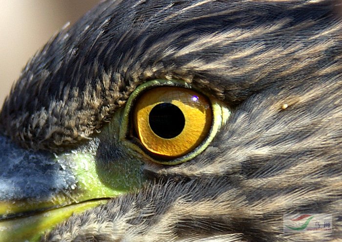 Re:������������������վ��������������վ������