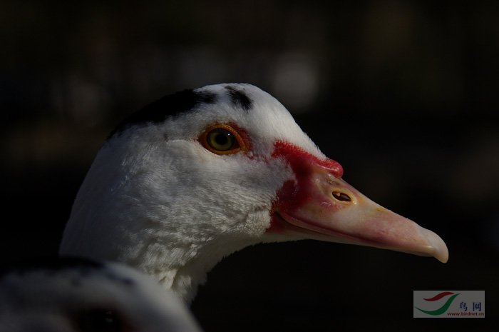 Re:������������������վ��������������վ������