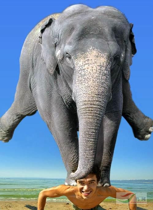 Re:[����]������Ƭ�Ա�.......��ҳ尡�����ˮŶ