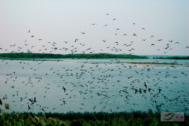 Re:������ʮ��������վ��������ˮ������վ����