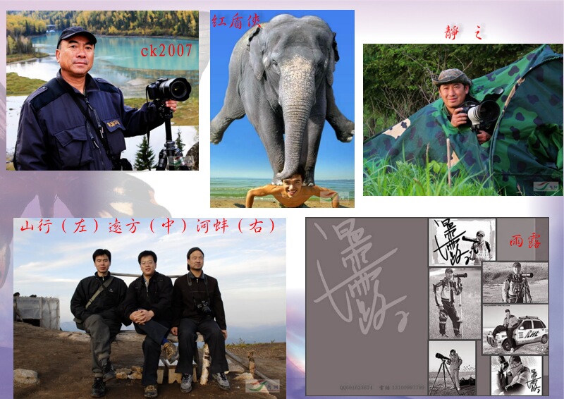 Re:[����]������Ƭ�Ա�.......��ҳ尡�����ˮŶ