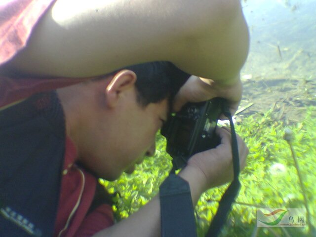 Re:[����]������Ƭ�Ա�.......��ҳ尡�����ˮŶ