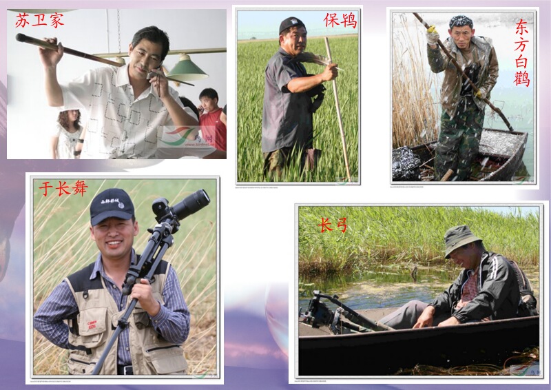 Re:[����]������Ƭ�Ա�.......��ҳ尡�����ˮŶ