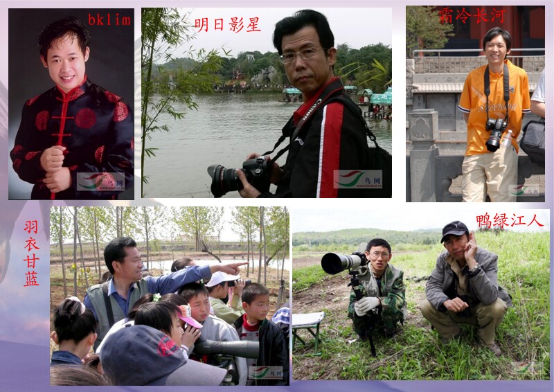 Re:[����]������Ƭ�Ա�.......��ҳ尡�����ˮŶ