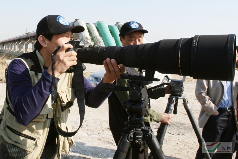 Re:[����]������Ƭ�Ա�.......��ҳ尡�����ˮŶ