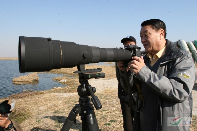 �����ڷ�