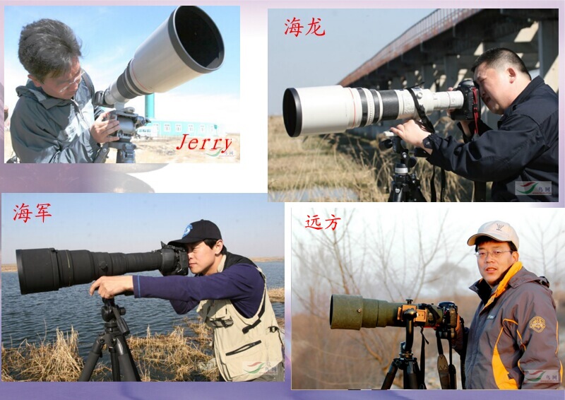 Re:[����]������Ƭ�Ա�.......��ҳ尡�����ˮŶ