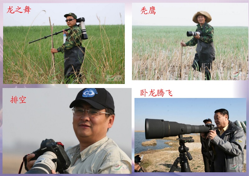 Re:[����]������Ƭ�Ա�.......��ҳ尡�����ˮŶ